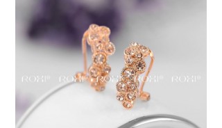 Позолоченные серьги - Позолоченные серьги Stone