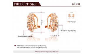 Позолоченные серьги - Позолоченные серьги Stone